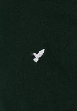 Pier One 5 Pack - T-Shirts - White/Ark Green/Blue 21 Pier One 5 Pack - T-Shirts - White/Ark Green/Blue -Pier One 19822f95d4c243b5a7cfa8d503e23581